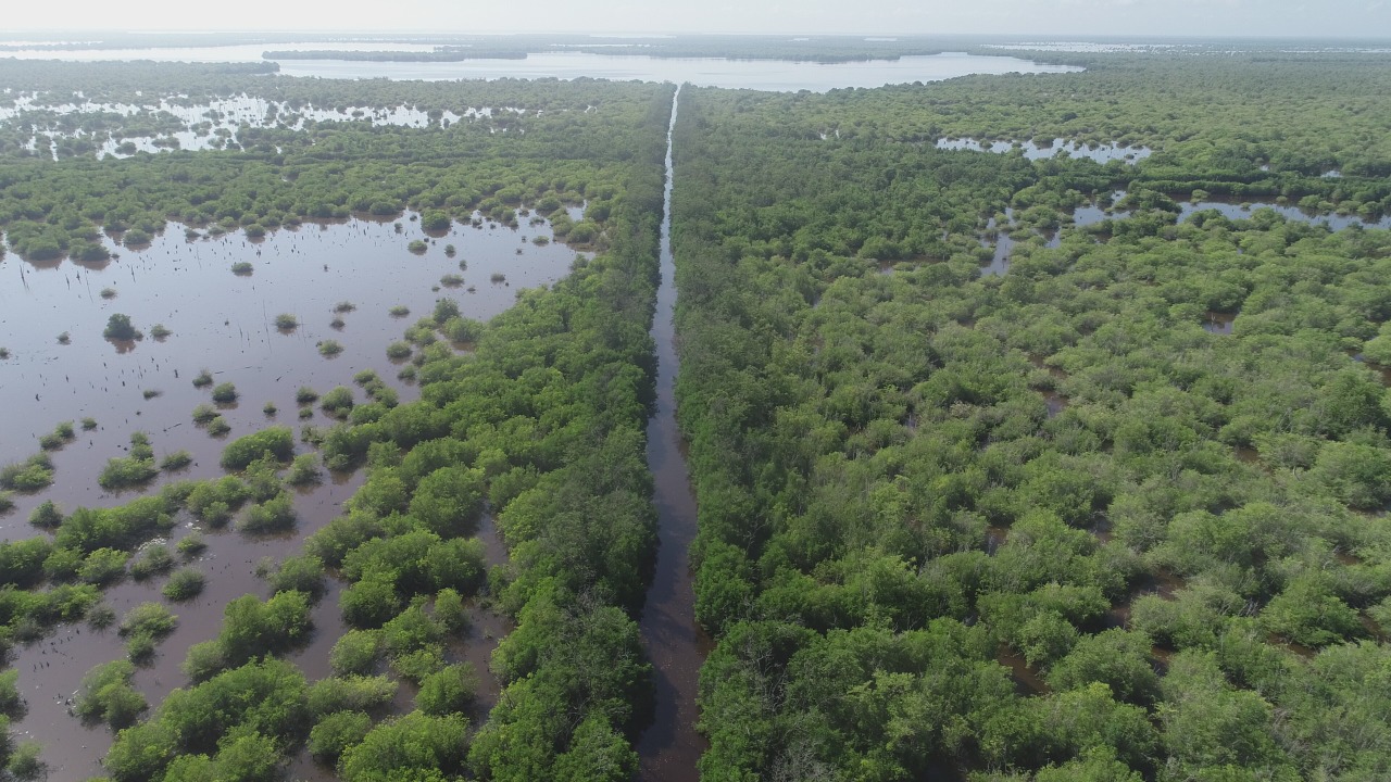 Panoramica de la cienaga grande donde se observa bosque de manglar